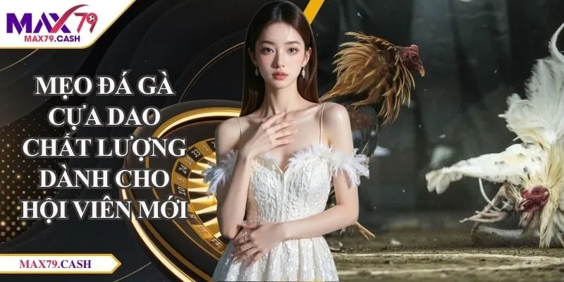 mẹo đá gà cựa dao